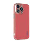 For iPhone 12 Pro ENKAY Plated Gold Edge TPU Case(Red) - 1