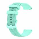For Huawei Watch GT2 42mm 20mm Carbon Fiber Striped Silicone Watch Band(Water Duck) - 1