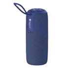 NewRixing NR8013 10W TWS Portable Wireless Stereo Speaker Support TF Card / FM(Blue) - 1