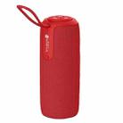 NewRixing NR8013 10W TWS Portable Wireless Stereo Speaker Support TF Card / FM(Red) - 1