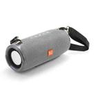 T&G TG324 High Power Waterproof Portable Bluetooth Speaker Support FM / TF Card(Gray) - 1