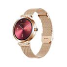 NY22 1.09 inch Steel Watchband Color Screen Smart Watch(Rose Gold) - 1