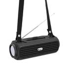 NewRixing NR903F TWS Portable Outdoor Bluetooth Speaker Support TF Card / FM(Black) - 1