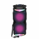 NewRixing NRG6601A Outdoor Portable Karaoke Wireless Speaker 20W Audio Amplifier With Mic(C) - 1