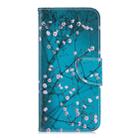 Colored Drawing Pattern Horizontal Flip Leather Case for Huawei Honor 8A, with Holder & Card Slots & Wallet(Plum Blossom) - 1