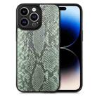 For iPhone 14 Pro Snakeskin Leather Back Cover Phone Case(Green) - 1