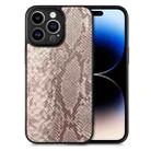 For iPhone 14 Pro Snakeskin Leather Back Cover Phone Case(Gray) - 1