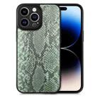 For iPhone 14 Pro Max Snakeskin Leather Back Cover Phone Case(Green) - 1