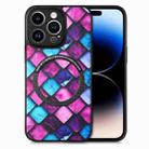 For iPhone 14 Pro Max Colored Drawing Leather Back Cover Magsafe Phone Case(Purple Scales) - 1