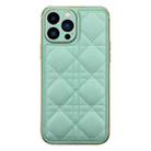 For iPhone 14 Pro D03 Grid PU Leather Electroplated Phone Case(Green) - 1