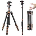 K&F CONCEPT KF09.077V3 Portable Carbon Fiber Camera Tripod - 1