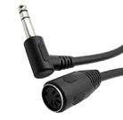 JUNSUNMAY 6.35mm 1/4 inch Male to Female 5 Pin MIDI Audio Stero Adapter, Cable Length: 20cm - 1