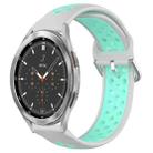 For Samsung  Galaxy Watch 4 Classic 46mm 20mm Perforated Breathable Sports Silicone Watch Band(Grey+Water Duck) - 1