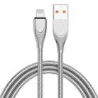 ENKAY ENK-CB131 USB to 8 Pin Carbon Steel Hose Spring 2.4A Fast Charging Data Cable, Length:2m(Silver) - 1