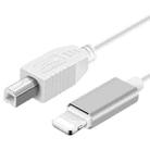 1m 8 Pin to USB-B MIDI Cable for iPad / iPhone - 1