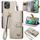 For iPhone 16 Pro Max Love Zipper Lanyard Leather Phone Case(Gray) - 1