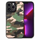 For iPhone 13 Pro Camouflage Leather Back Cover Phone Case(Green) - 1