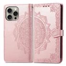 For iPhone 16 Pro Max Mandala Flower Embossed Leather Phone Case(Rose Gold) - 2