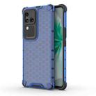 For vivo S18 Shockproof Honeycomb Phone Case(Blue) - 1