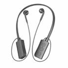 DS-G120N 2.4G Neck-mounted Wireless Stereo Monitor Earphone - 1