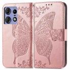 For Motorola Moto Edge 50 Fusion Butterfly Love Flower Embossed Leather Phone Case(Rose Gold) - 1