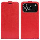 For iPhone 17 Pro Max R64 Texture Single Vertical Flip Leather Phone Case(Red) - 1