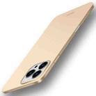 For iPhone 16 Pro MOFI Frosted PC Ultra-thin Hard Phone Case(Gold) - 1