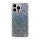 For iPhone 15 Plus Glitter Sequins Epoxy TPU Phone Case(Silvery) - 1