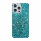 For iPhone 15 Pro Glitter Sequins Epoxy TPU Phone Case(Green) - 1
