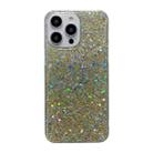 For iPhone 15 Pro Glitter Sequins Epoxy TPU Phone Case(Gold) - 1