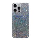 For iPhone 15 Pro Glitter Sequins Epoxy TPU Phone Case(Silvery) - 1