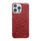 For iPhone 16 Glitter Sequins Epoxy TPU Phone Case(Red) - 1