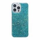 For iPhone 16 Pro Max Glitter Sequins Epoxy TPU Phone Case(Green) - 1