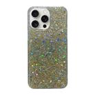 For iPhone 16 Pro Max Glitter Sequins Epoxy TPU Phone Case(Gold) - 1