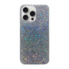 For iPhone 16 Pro Max Glitter Sequins Epoxy TPU Phone Case(Silvery) - 1