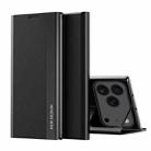 For iPhone 17 Pro Max Side Electroplated Adsorption Leather Phone Case(Black) - 1