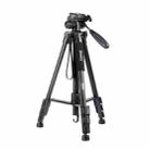 JMARY KP2254 Three colors are available Cell Phone SLR Outdoor Photography Tripod Stand(Black) - 1