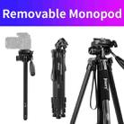 JMARY KP2254 Three colors are available Cell Phone SLR Outdoor Photography Tripod Stand(Black) - 4
