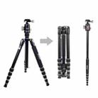 JMARY KT255-NB36 Aluminum Alloy Outdoor Shooting Tripod Detachable SLR Camera Tripod - 1