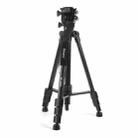 JMARY KP2599 SLR Camera Phone Live Streaming Outdoor Photography Aluminum Tripod - 1