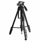 JMARY KP2264 Portable Detachable Tripod Mobile Phone SLR Camera Aluminium Alloy Stand(Black) - 1