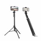 JMARY MT-36 4 Sections Adjustable Camera Stand Tripod 67-inch Live Streaming Phone Tripod - 1