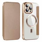 For iPhone 15 Pro Max Shield MagSafe RFID Anti-theft Leather Phone Case(Desert Gold) - 1