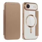 For iPhone Air Shield MagSafe RFID Anti-theft Leather Phone Case(Desert Gold) - 1