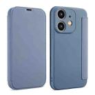 For iPhone 11 Imitate Liquid Skin Feel Leather Phone Case with Card Slots(Grey) - 1