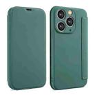 For iPhone 11 Pro Imitate Liquid Skin Feel Leather Phone Case with Card Slots(Green) - 1