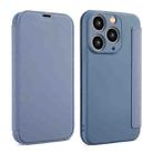 For iPhone 11 Pro Max Imitate Liquid Skin Feel Leather Phone Case with Card Slots(Grey) - 1