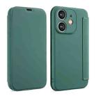 For iPhone 12 mini Imitate Liquid Skin Feel Leather Phone Case with Card Slots(Green) - 1