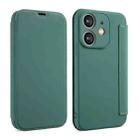 For iPhone 12 Imitate Liquid Skin Feel Leather Phone Case with Card Slots(Green) - 1