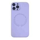 For iPhone 13 Pro Max MagSafe Leather All-inclusive TPU Shockproof Phone Case(Purple Taro) - 1